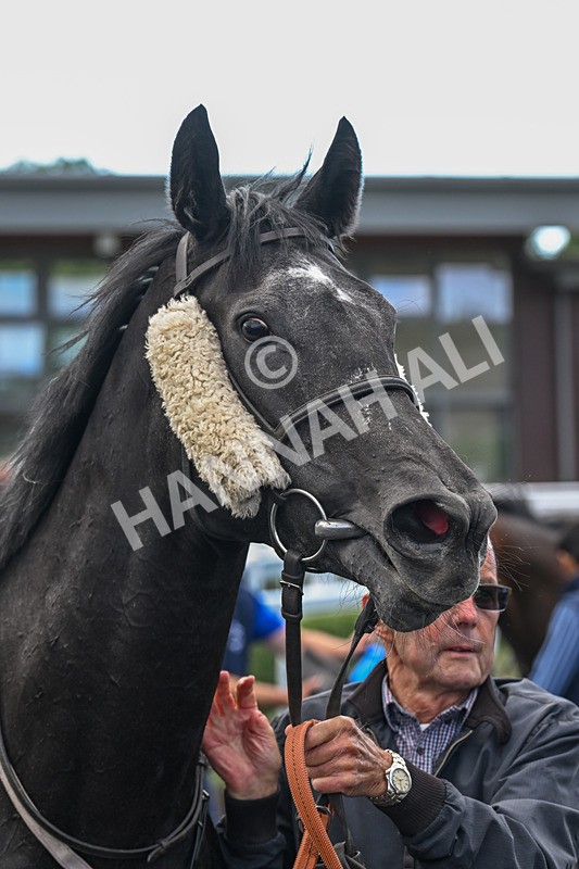 100924-Race 2-Keldeo-0074 - Race 2