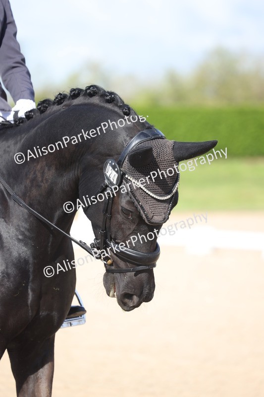 20260405-0109 - Class 1 - Prelim 5