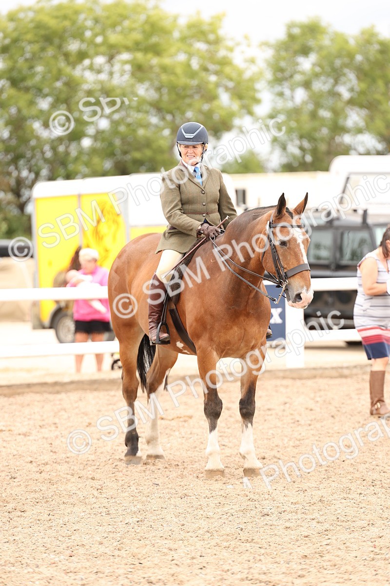 SBM_19582 - Class 215 - Ridden Show cob