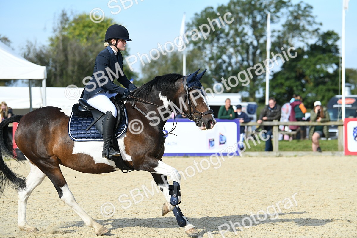 SBM_61560 - j25 - Junior Horse 80cm Championship
