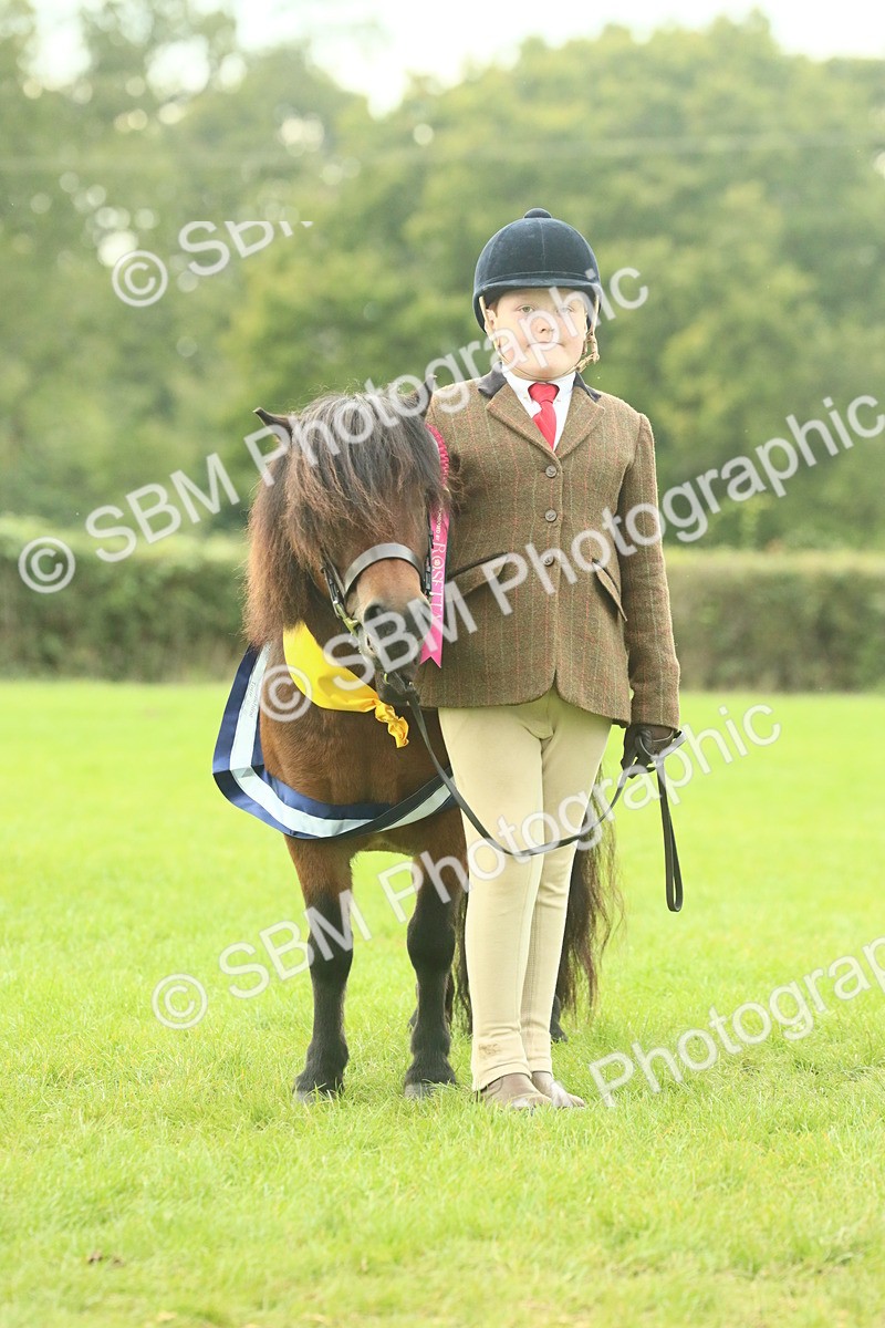 SBM_75271 - Super Supreme Championship