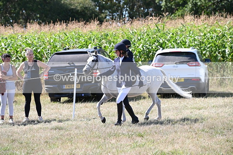 WJ6_8009 - Class 36 Lead Rein