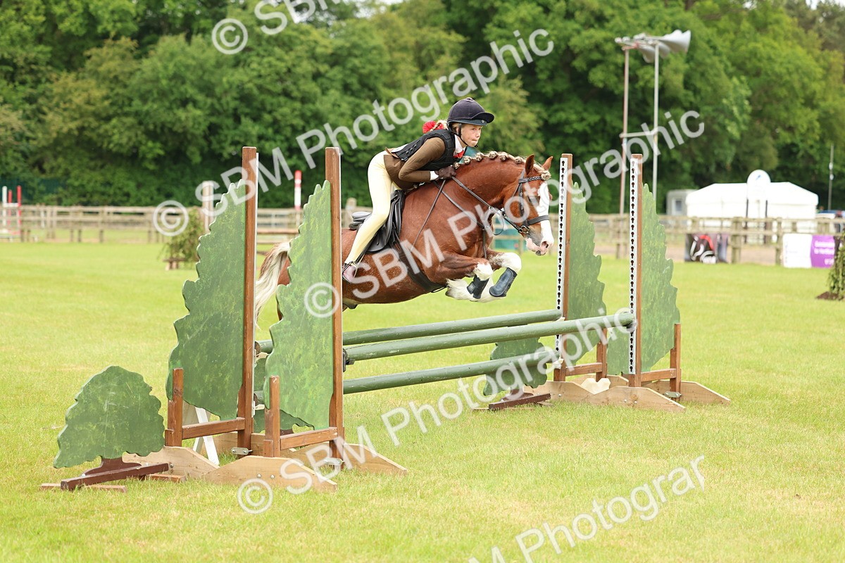 SBM_10358 - Class 44-45 - LIHS BSPS Open Nursery and Cradle Stakes