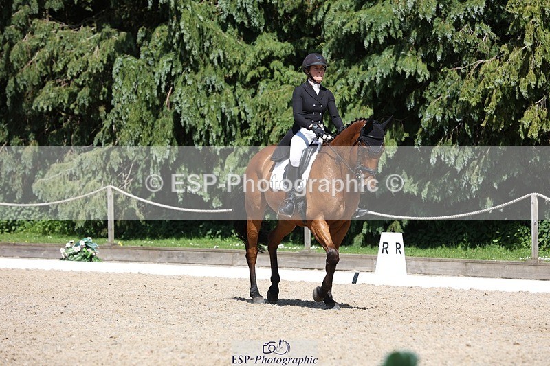 230526-150059-06600 - 377-GOLD_NUGGET-Jillian_Giessen-WEDTrotUp+DR