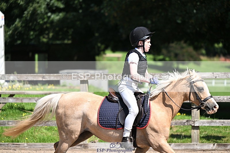240729B-114324-02513 - Showjumping Competition