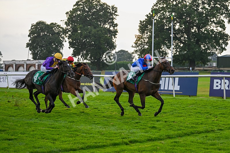 070924-Race 8-Desert Falcon-8091 - Race 8