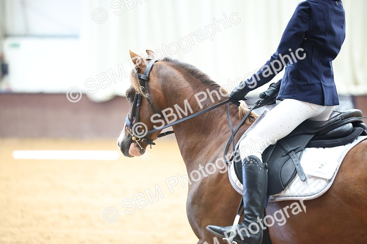 SBM_004063 - Class 1 - Intro 2-3