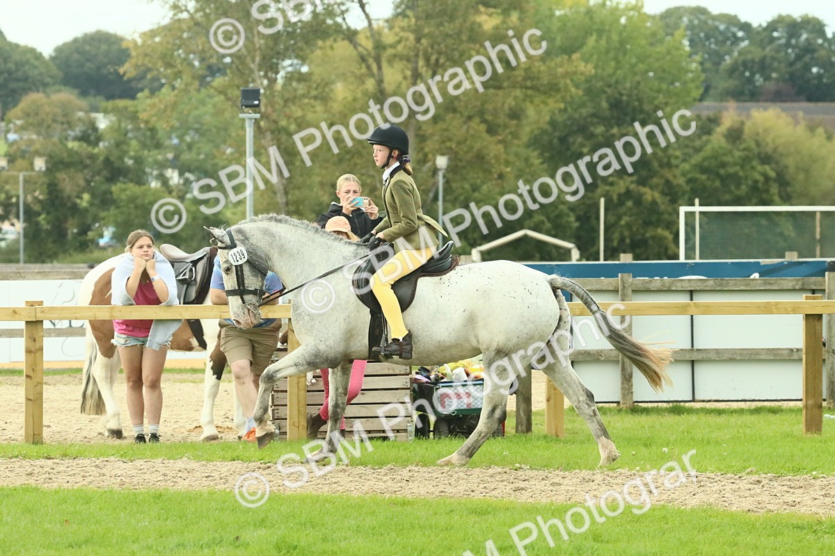 SBM_74053 - S 61 - Show Pony & Show Hunter Pony Ridden