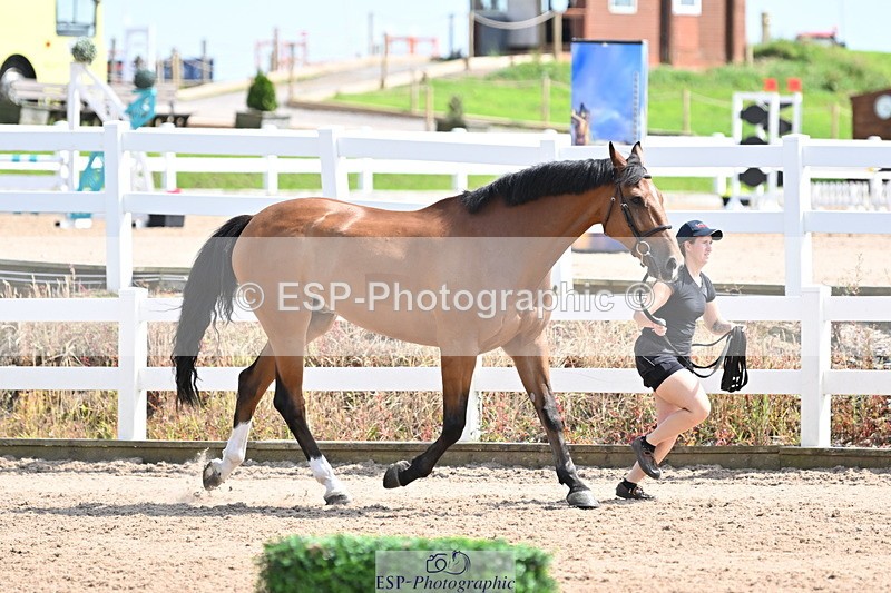 240717A-152302-02800 - Trot Up 3pm to 4pm