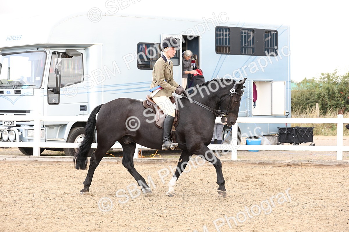 SBM_02957 - Class 53 - Ridden Competition Horse/Pony