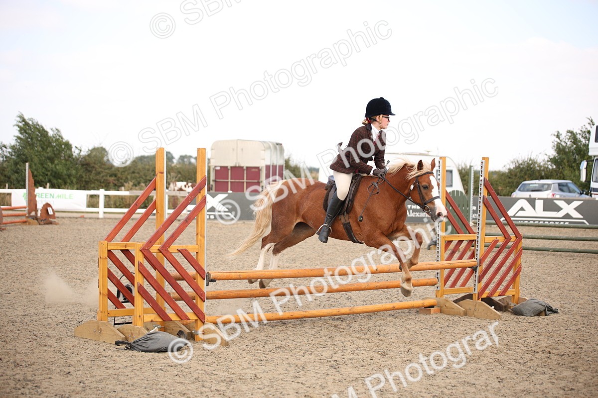 SBM_16029 - Class 408b - Working Veteran 70cm (20+)