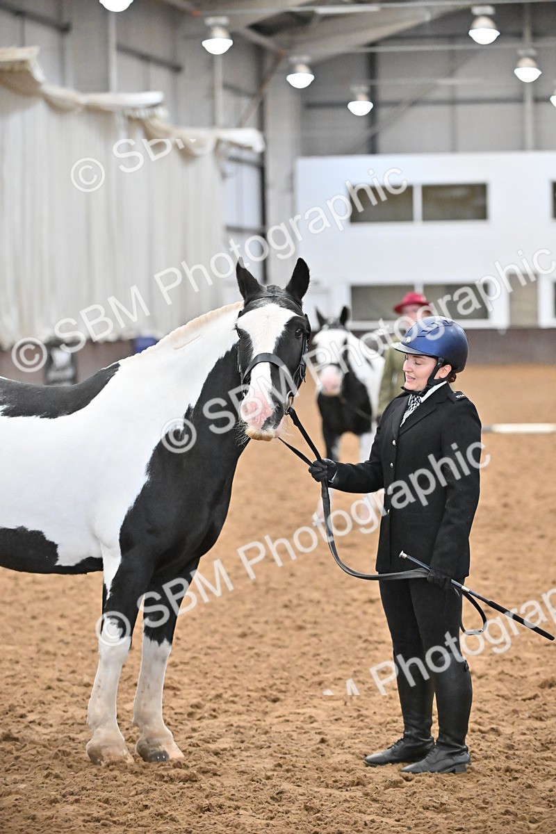 SBM_000036 - Class 1 - In Hand Cob