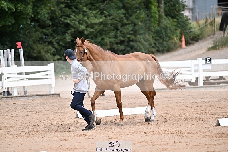 250716-130627-00332 - Trot Up 12.30 to 1.30