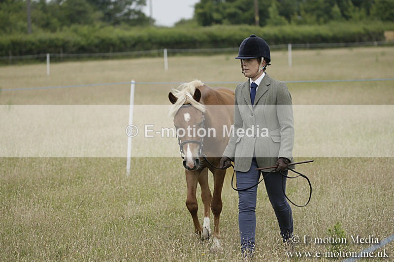 B230619-0045 - Bourne Valley Riding Club Summer Show 23/06/19