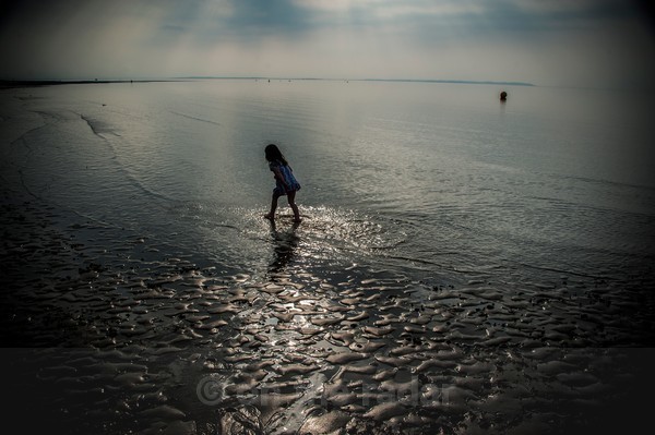  - Beachscapes