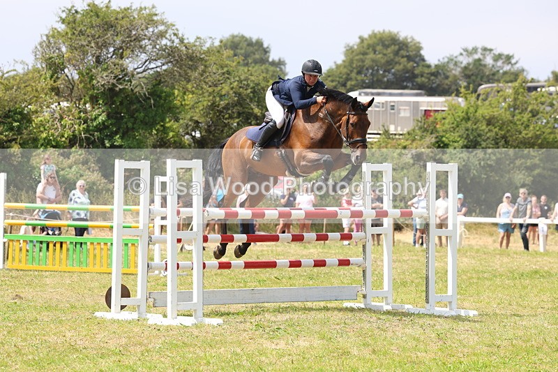 3E7A3443 - Class 10: Senior Foxhunter/1.20 open