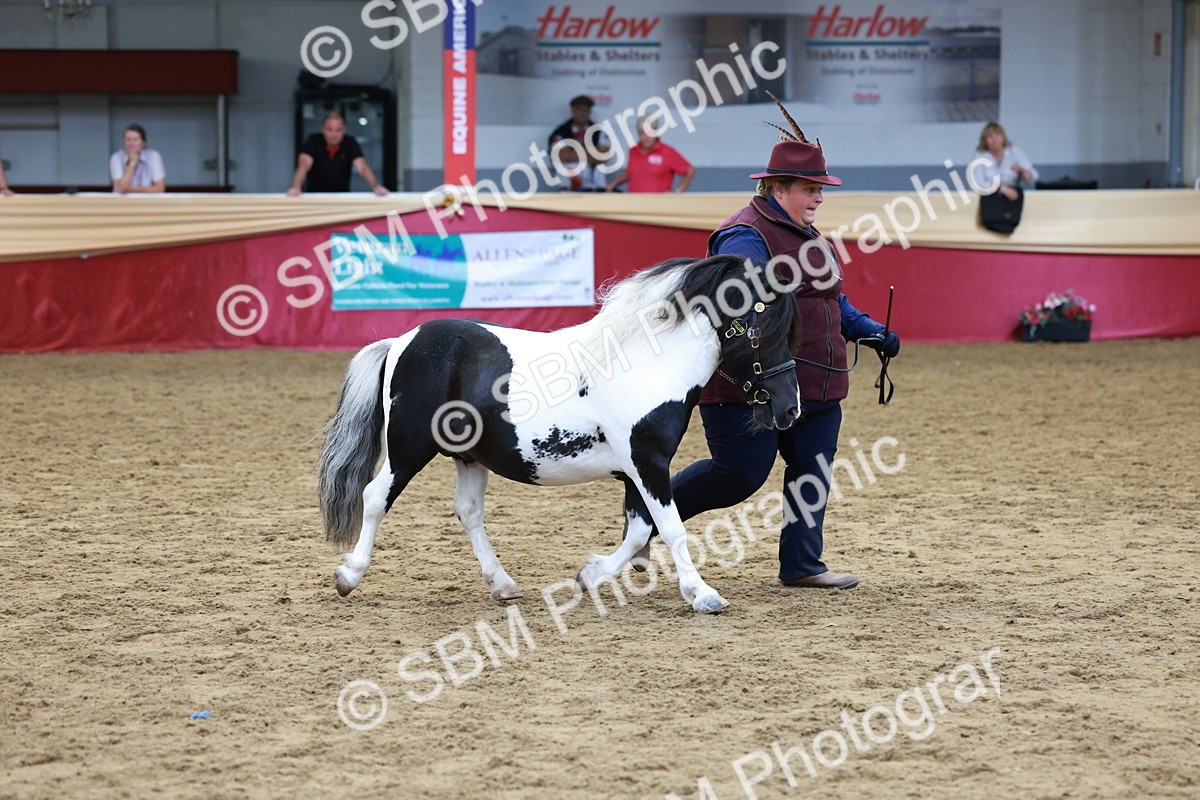 SBM_17335 - Class 951 - M&M IH Supreme Final