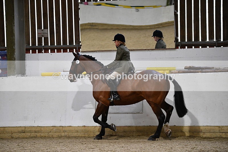 WJ5_9004 - Class 15 Ridden Show Horse