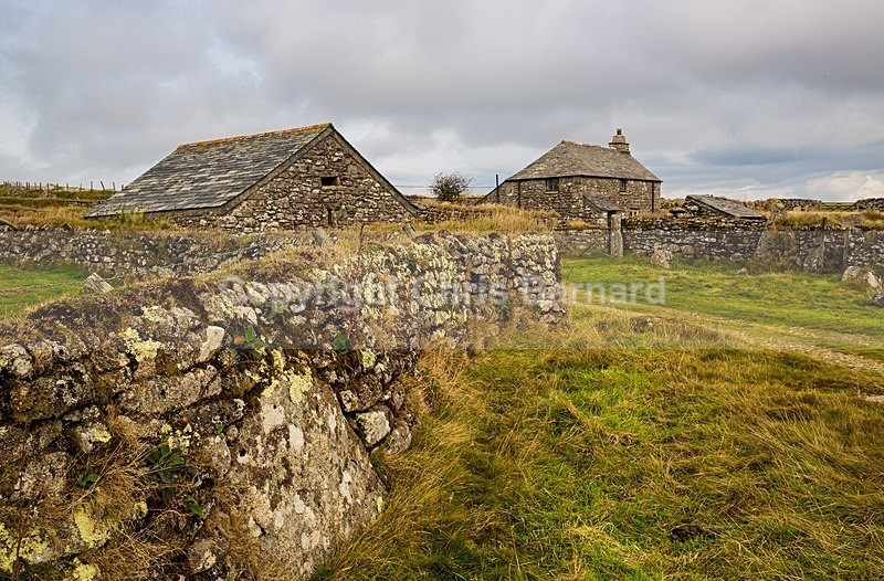  - Bodmin Moor