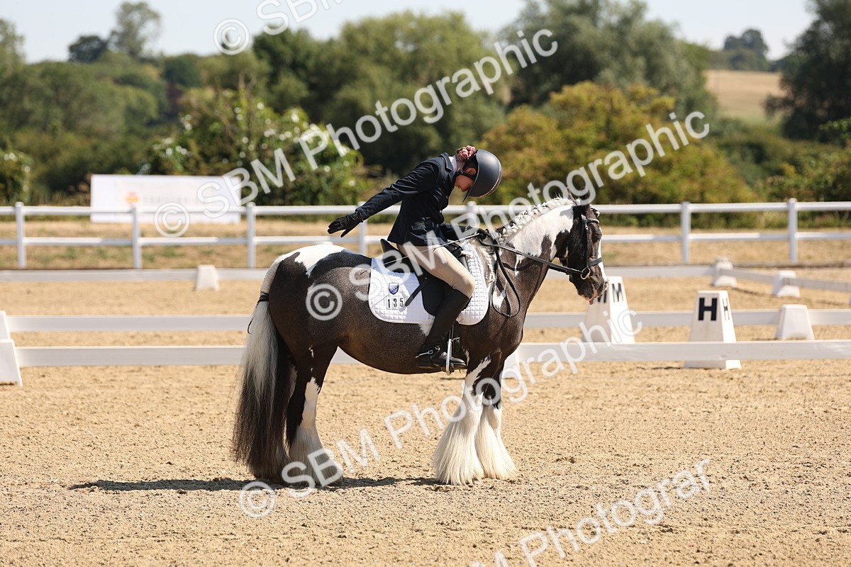 SBM_001075 - Intro 2