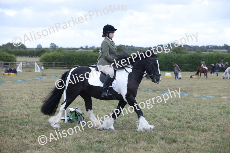 20250831-4209 - Class 20 - Ridden Coloured