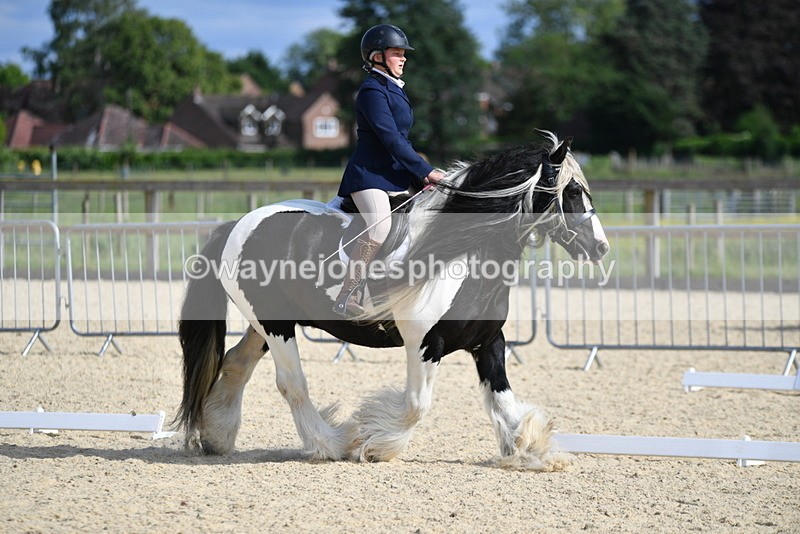 WJ5_7728 - Time 16:40 to 16:55