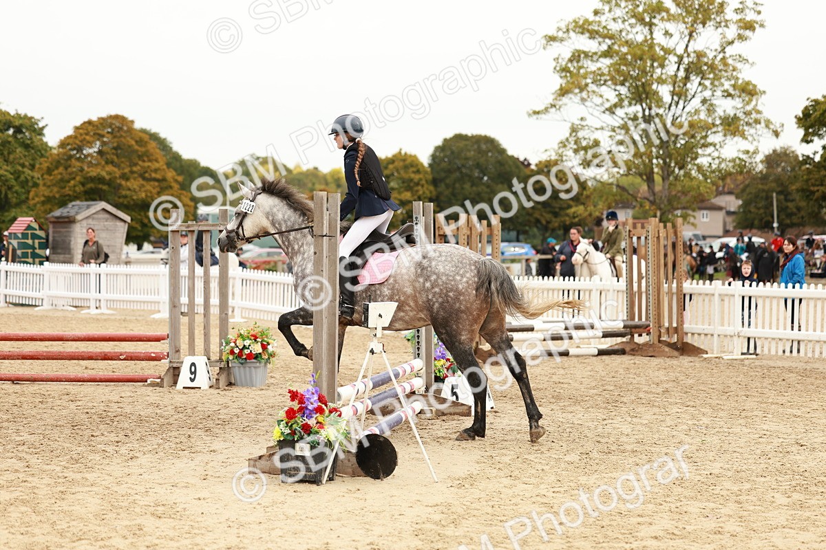 SBM_57989 - J11 - Junior Pony 50cm Championship