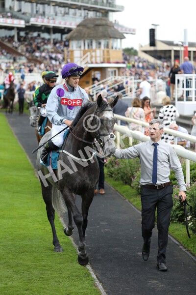 yr23072022r6-12 - Race 6 5.00pm Sky Bet Partnership with Support Dogs Stakes