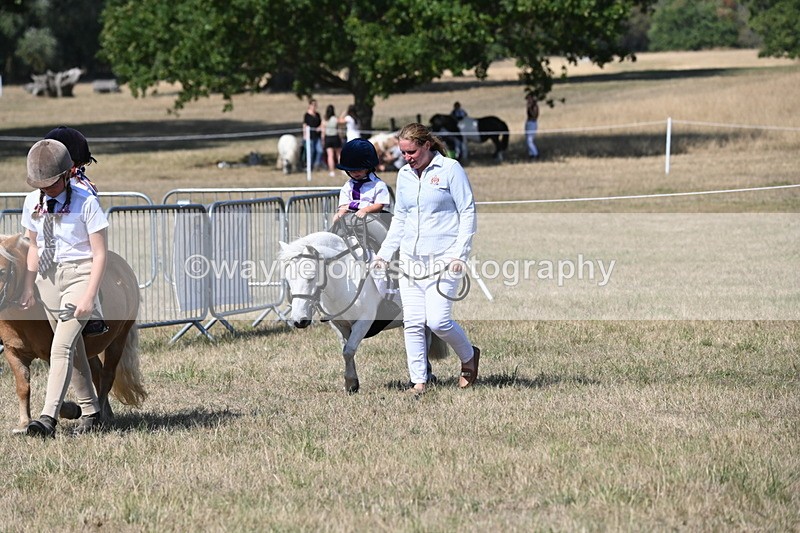 WJ6_9491 - Class 40 Cheekiest Pony/Horse