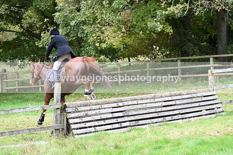 WJ7_4701 - Camera 1 Line 3