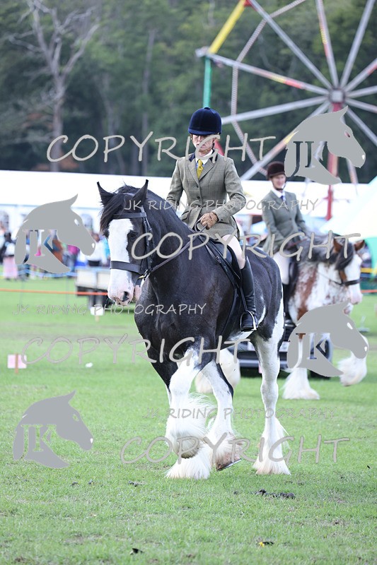 APP_3653 - Class 8 Ridden Class