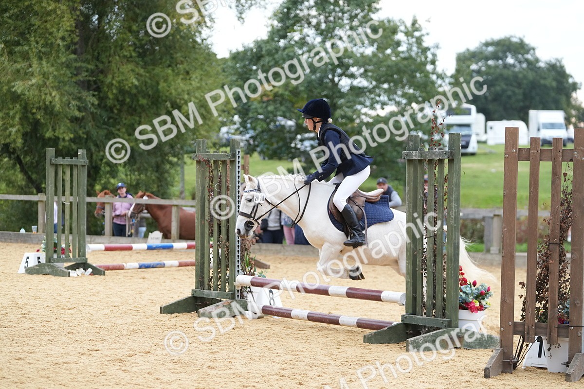 SBM_74848 - J4 - Mini Tour Junior Pony 45cm Championship