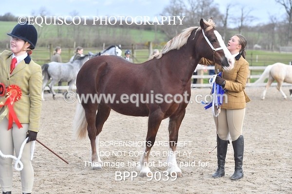 BPP_9039 - RING 2 - M&M