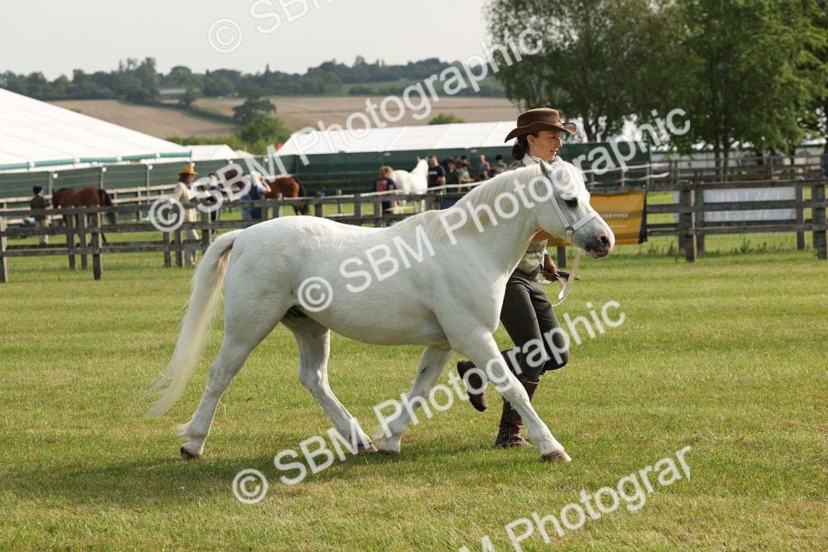 SBM_00571 - Class 6-13 - Mountatin and Moorland In Hand Welsh Breeds