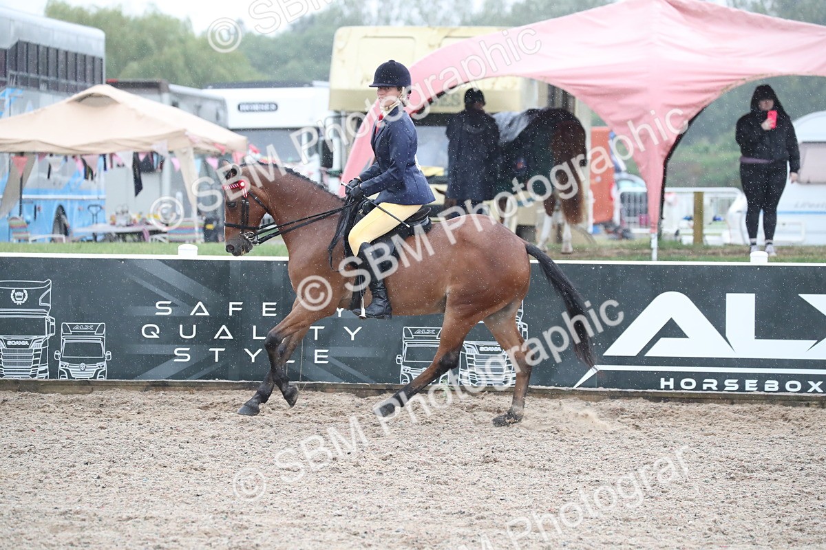 SBM_20458 - Class 601 - 2025 Area - Ridden Diamond