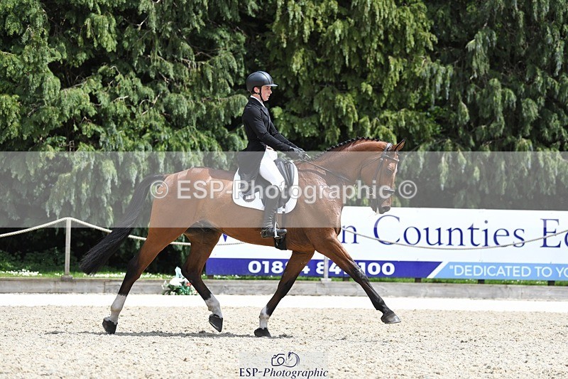 230525-140729-03096 - 318-JUST_HAVE_FAITH_TN-Alfie_Marshall-WEDTrotUp+DR