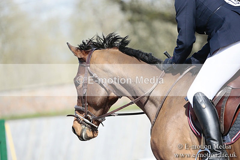 BVRC SJ 170319 592 - Bourne Valley Riding Club Showjumping 17/03/19