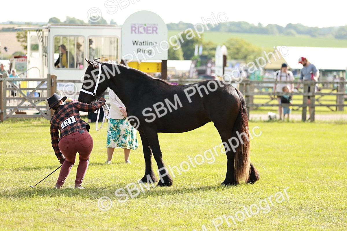 SBM_00720 - Class 14-23 - Mountain & Moorland In Hand Non Welsh