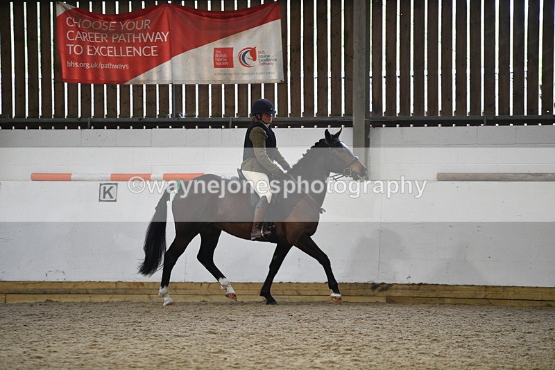 WJ5_7954 - Class 13 Ridden Part Breed