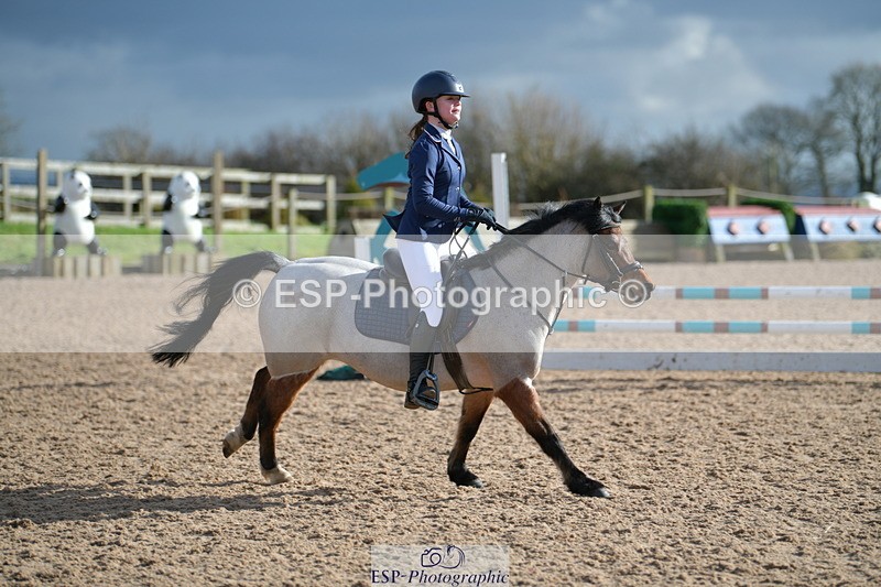 240211A-134937-03265 - Stepping Stones