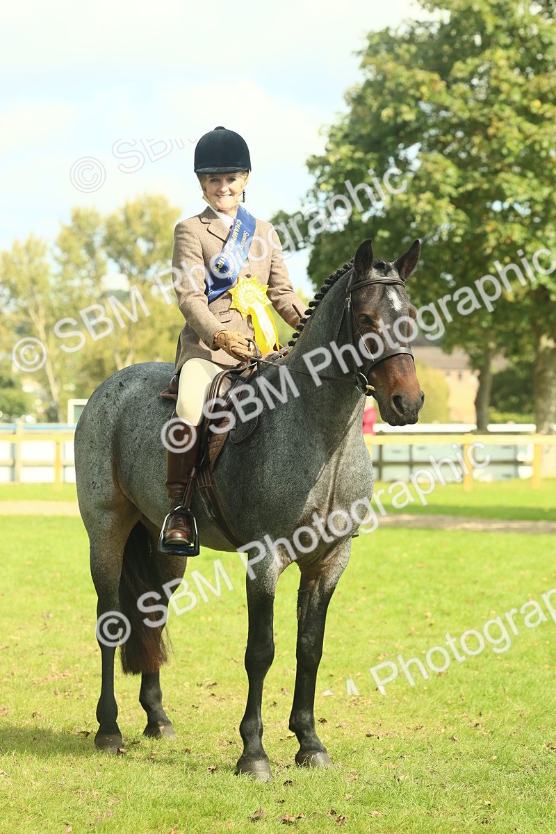 SBM_62694 - S63 - Other Coloured Horse Ridden