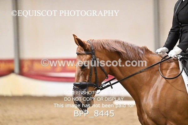 BPP_8445 - INTRO 1