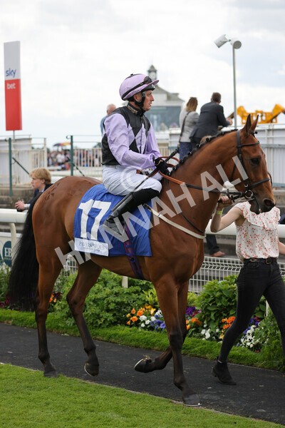 yr11062022r5-12 - Race 5 3.40pm The Pavers Foundation Catherine Memorial Sprint Stakes