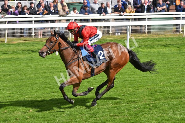 yr11052022r4-37 - Race 4 3.35pm Tattersalls Musidora Stakes