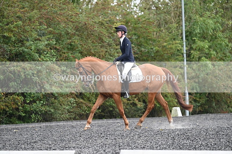 WJ7_6717 - Time 14:49 to 15:14