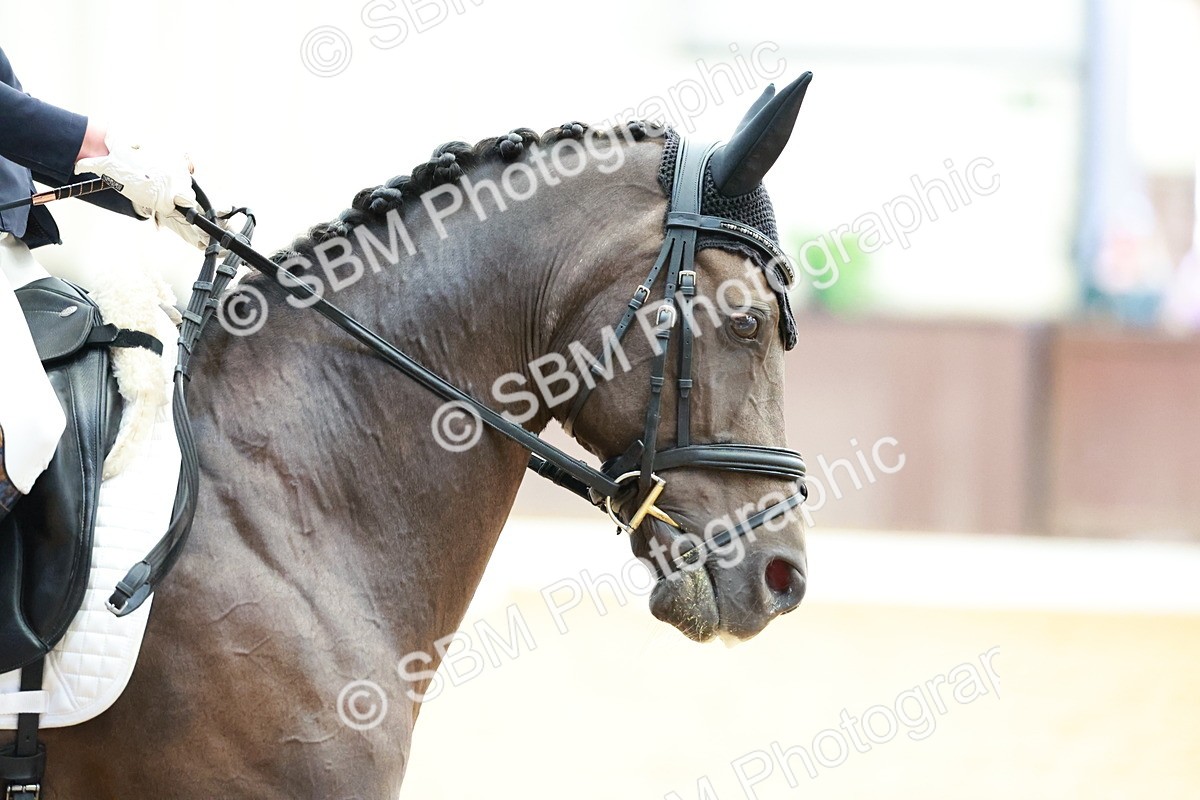 SBM_017100 - Class15 - FEI Pony