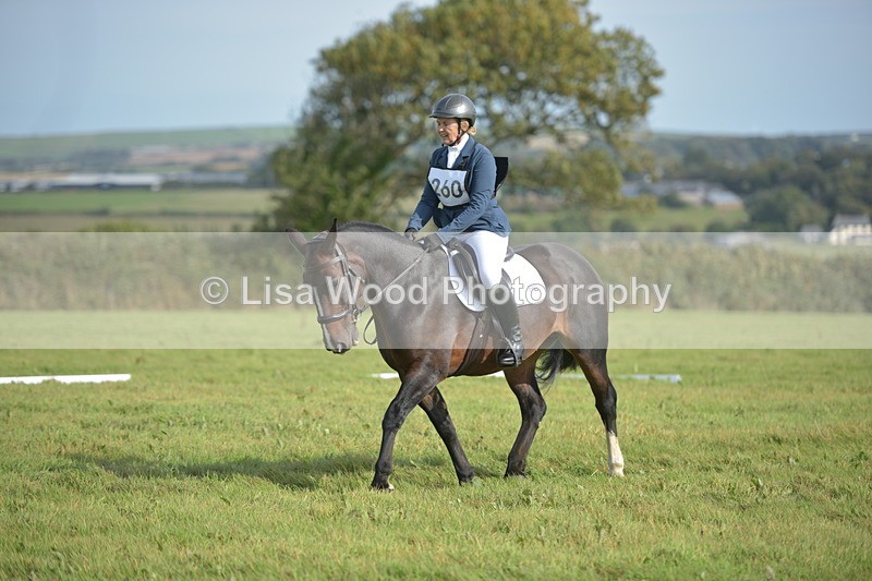RAY_7778 - Class 2B: Trekenning Open: Dressage