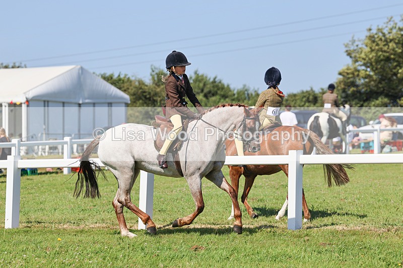 IMG_1902 - Class 33: Show Pony 148cm and under