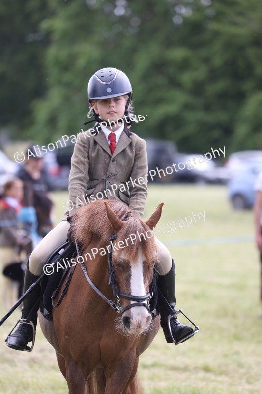 20260614-2064 - Class 21 - Novice Working Hunter Pony
