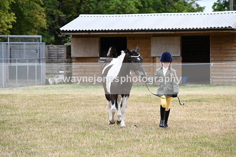 WJ6_4332 - Class 10 Coloured In-hand